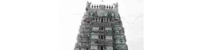264. திருக்கழுக்குன்றம்